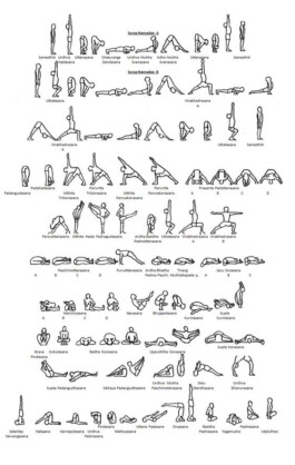 Jake Bohner, Downward Cat Yoga, Ashtanga Yoga Hamburg