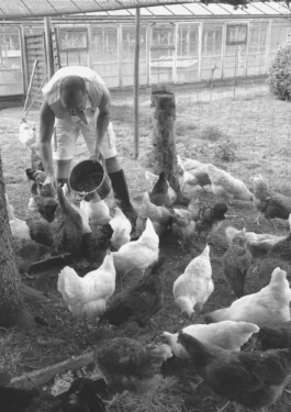 Jake Bohner, Downward Cat Yoga, Ashtanga Yoga Hamburg