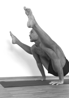 Jake Bohner, Downward Cat Yoga, Ashtanga Yoga Hamburg